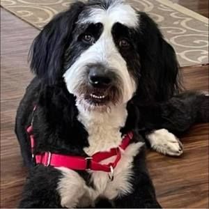 Meet your Posher, Cheryl